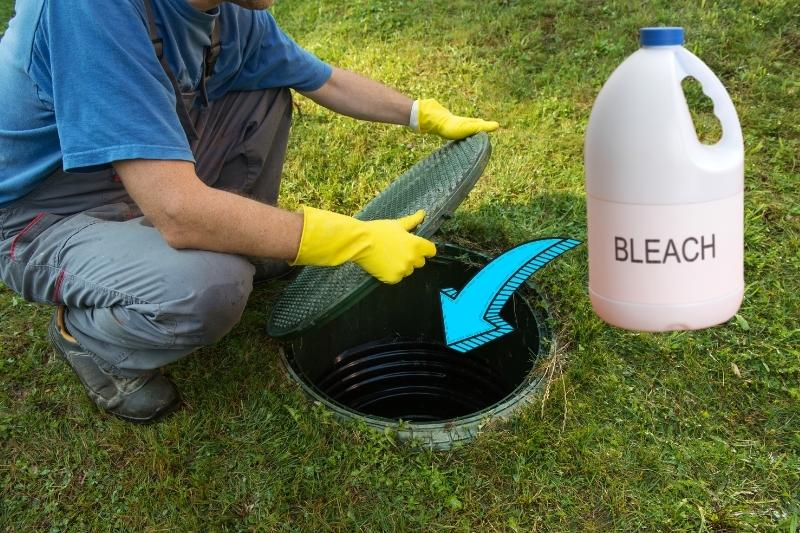 Bacteria Improve Septic Tank